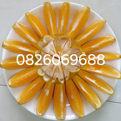 Cam lòng vàng Cao Phong